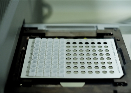 cobas z480 荧光定量PCR