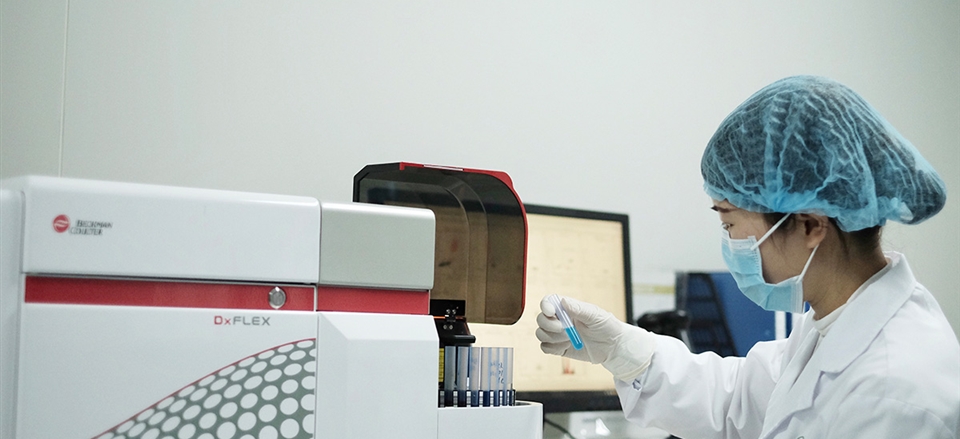 关于细胞质量检测